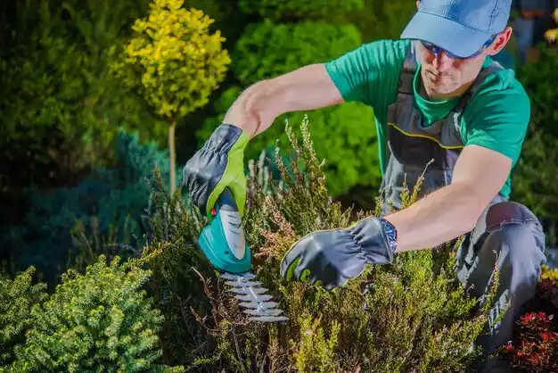 landscaping services Raytown